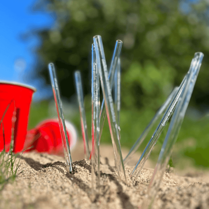 HALM Glasstrohhalme Mit Sprüchen – 6x 15 Cm Kurz, Graviert, Nachhaltig & Spülmaschinenfest